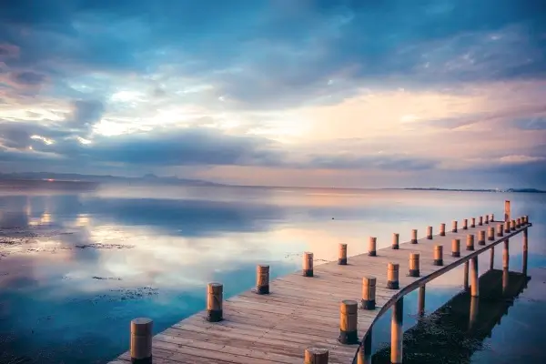 连平县注册食品公司前十